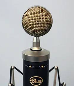 Blue Baby Bottle SL Review: Professional Vocals with Style