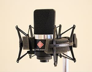 Neumann TLM 102 Microphone - Best Mics to Record Acoustic Guitar