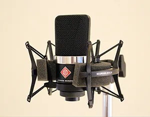 Neumann TLM 102 Microphone - Best Mics to Record Acoustic Guitar